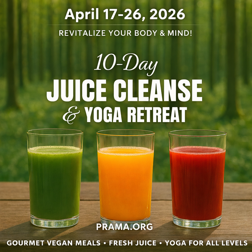 The programs featured image