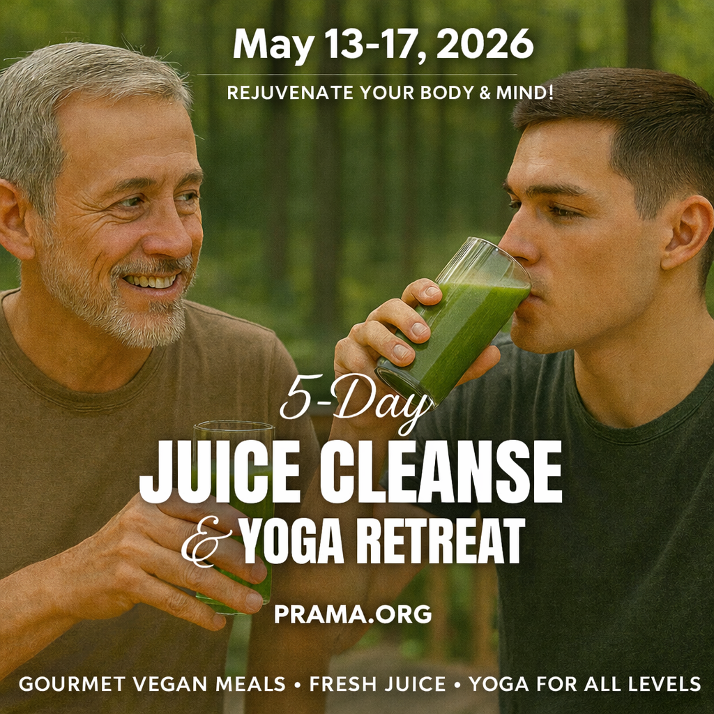 The programs featured image