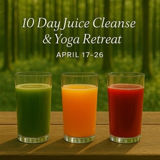 The programs featured image