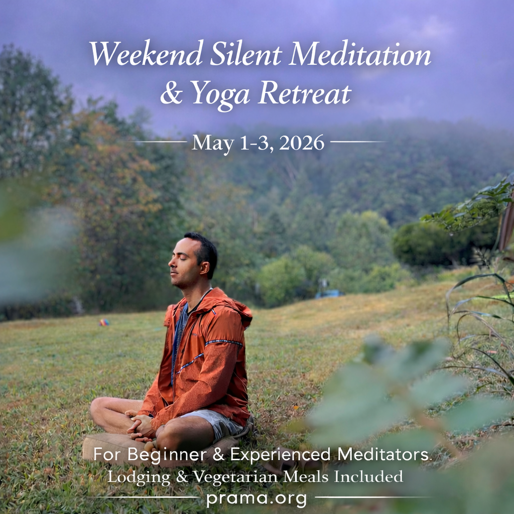 The programs featured image