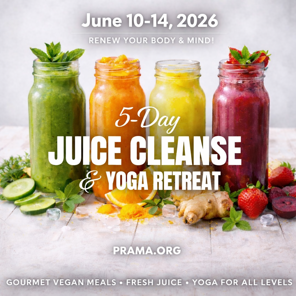 The programs featured image