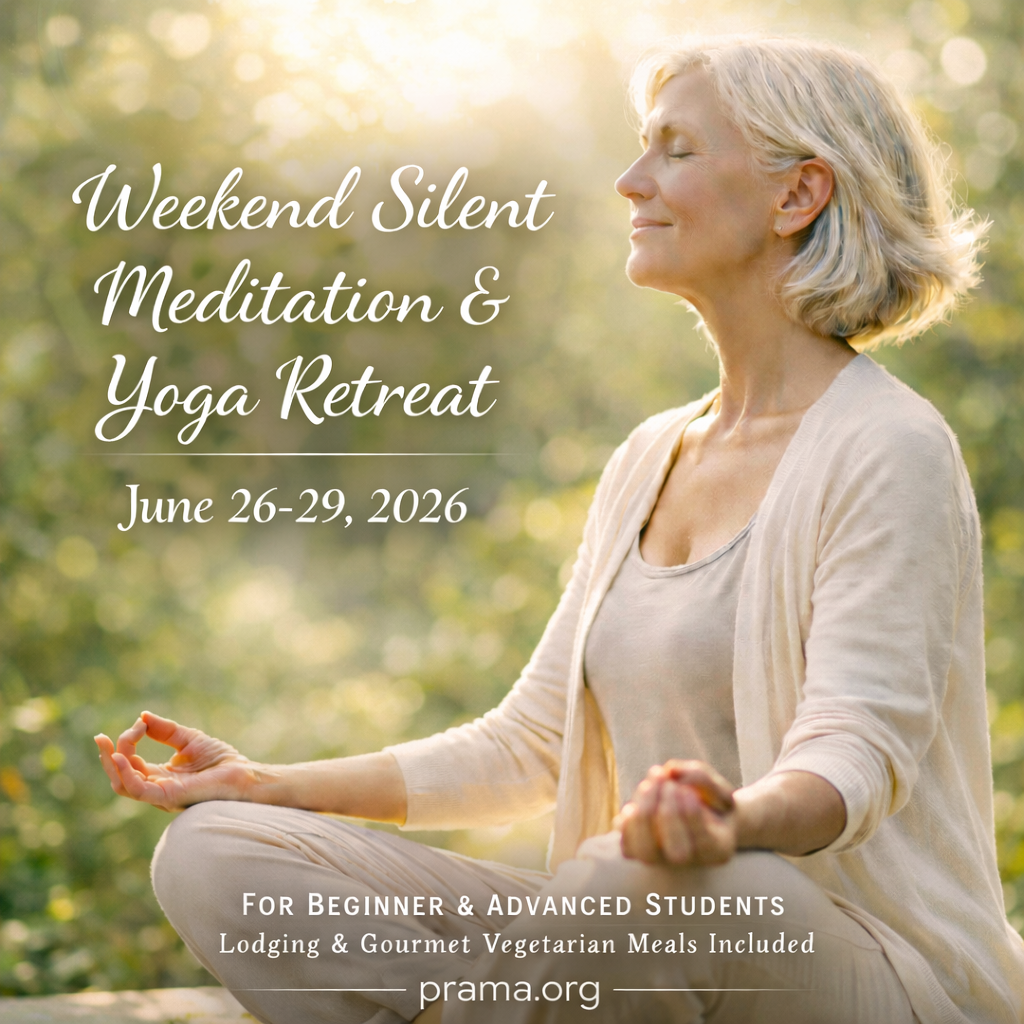 The programs featured image