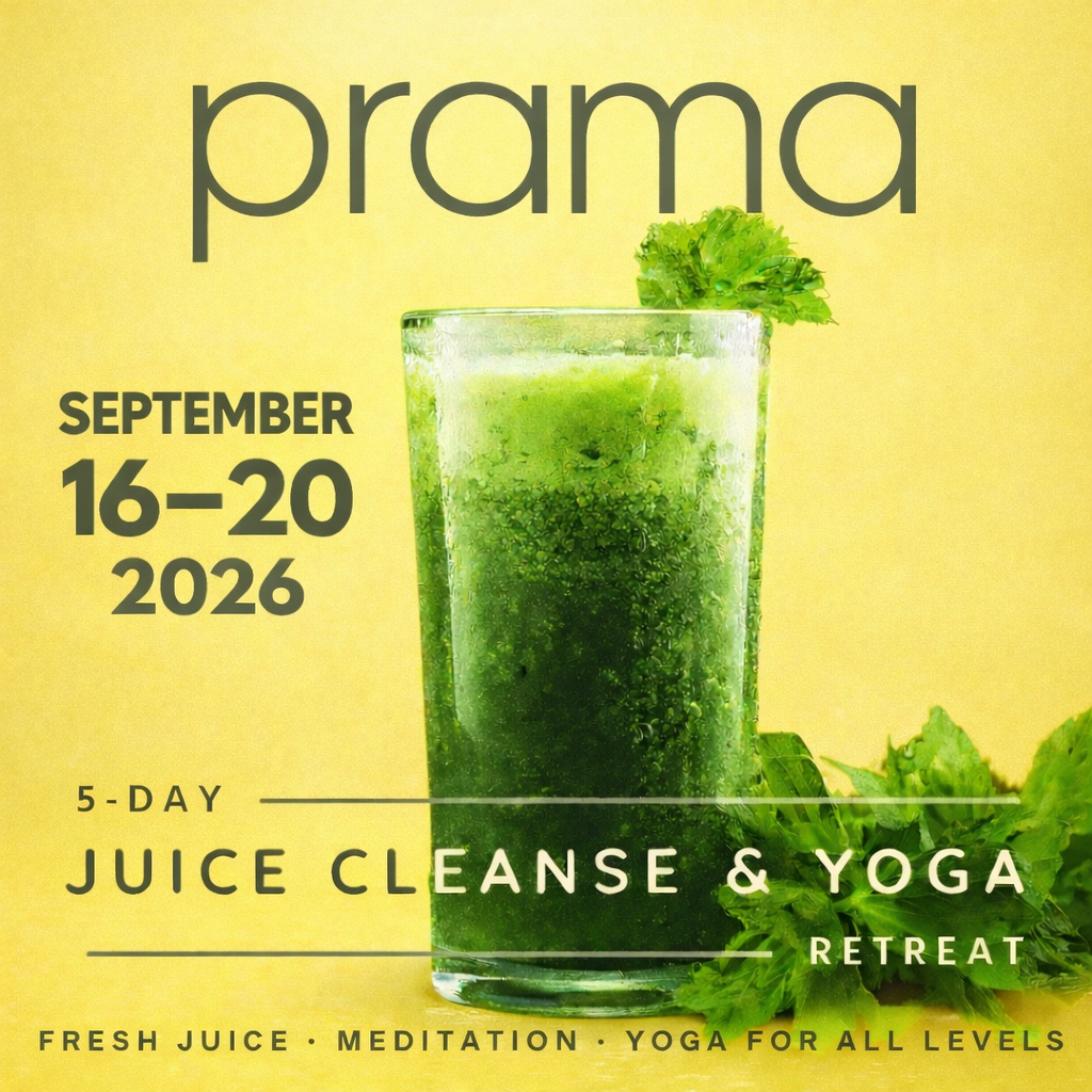 The programs featured image