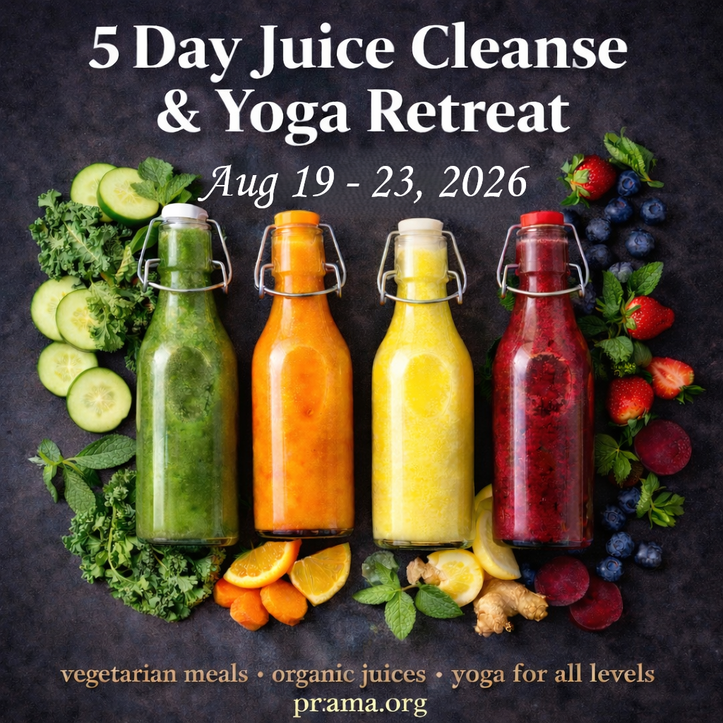 The programs featured image