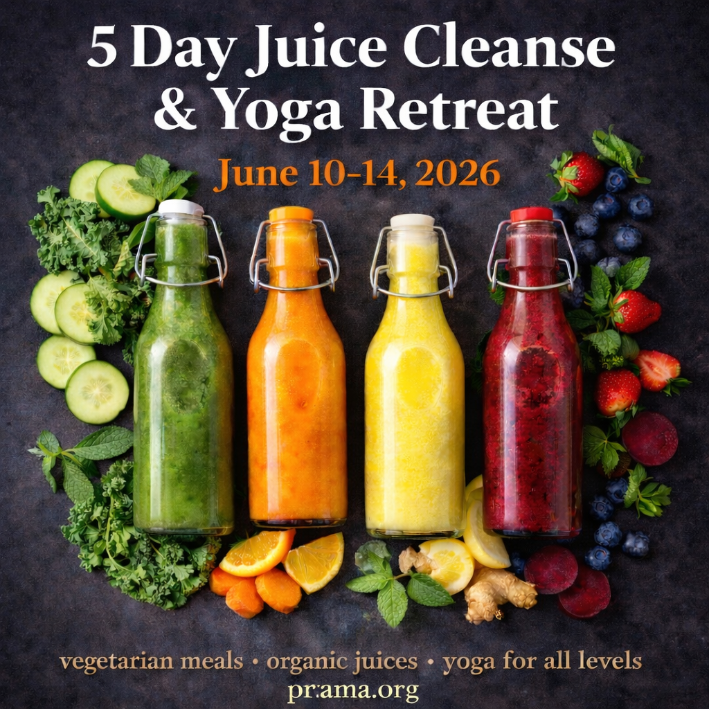 The programs featured image