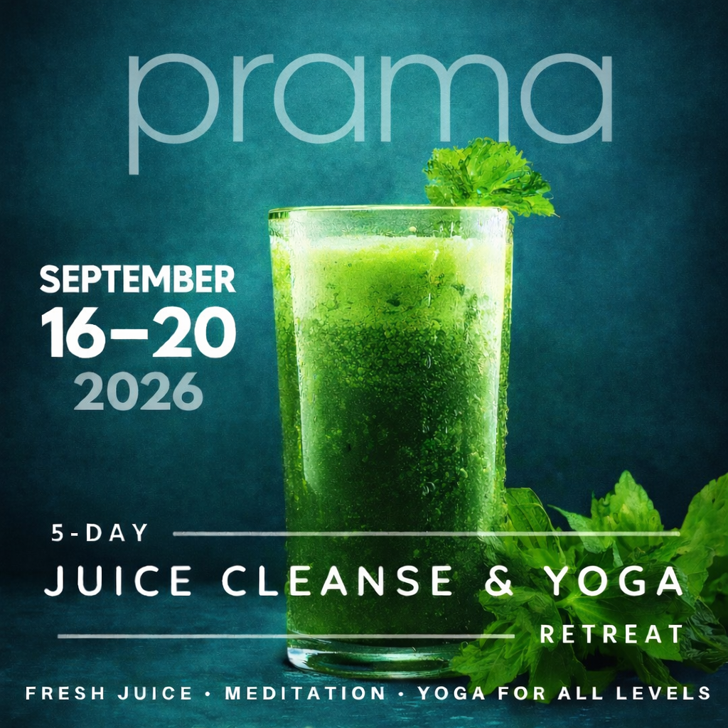 The programs featured image