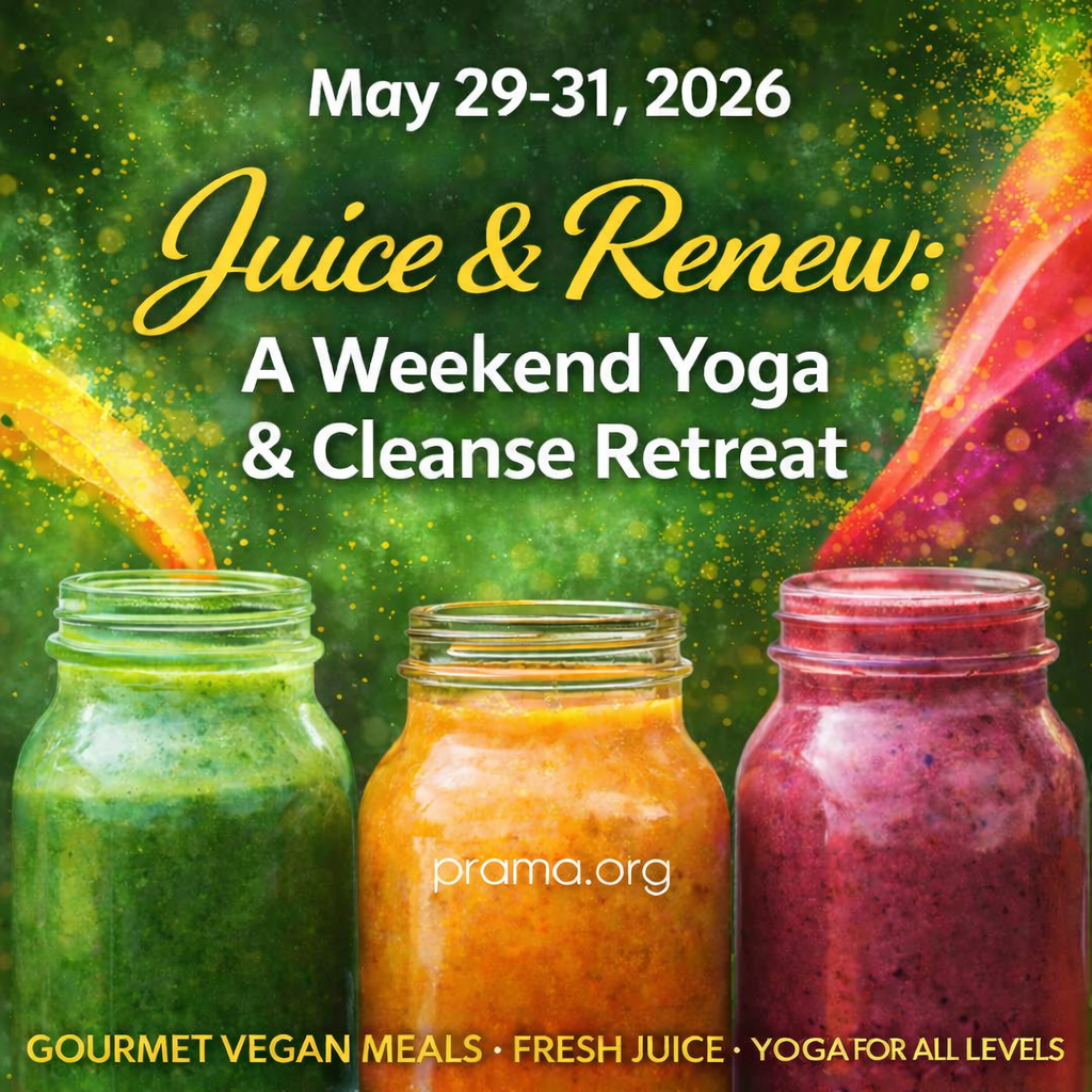 The programs featured image