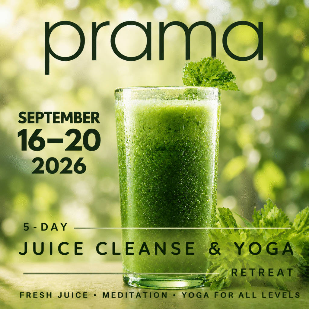 The programs featured image