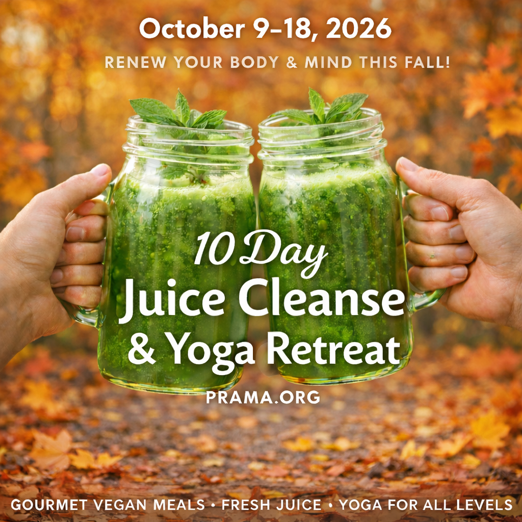 The programs featured image