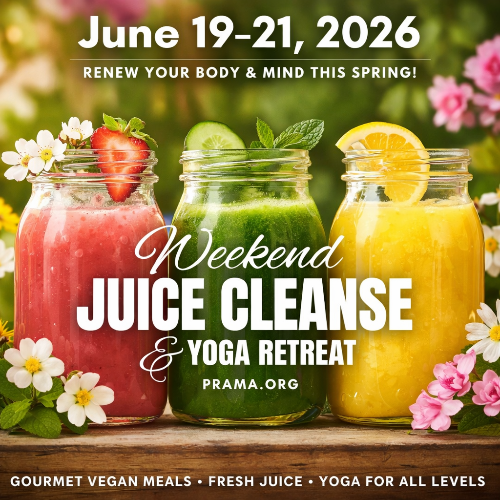 The programs featured image