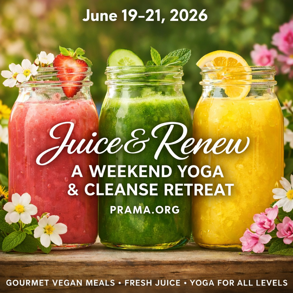 The programs featured image