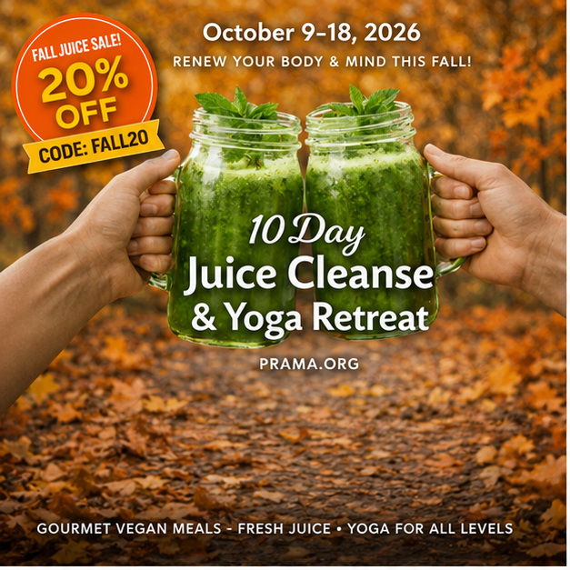 The programs featured image