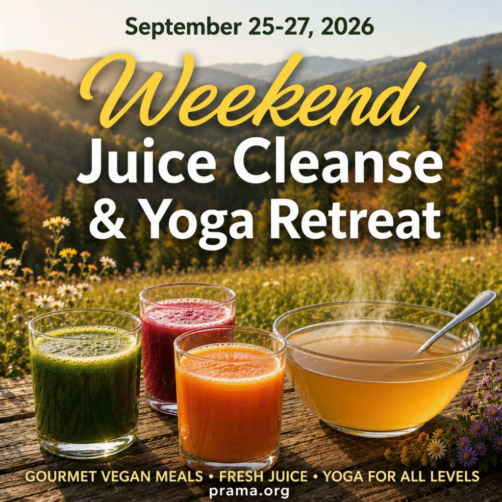 The programs featured image