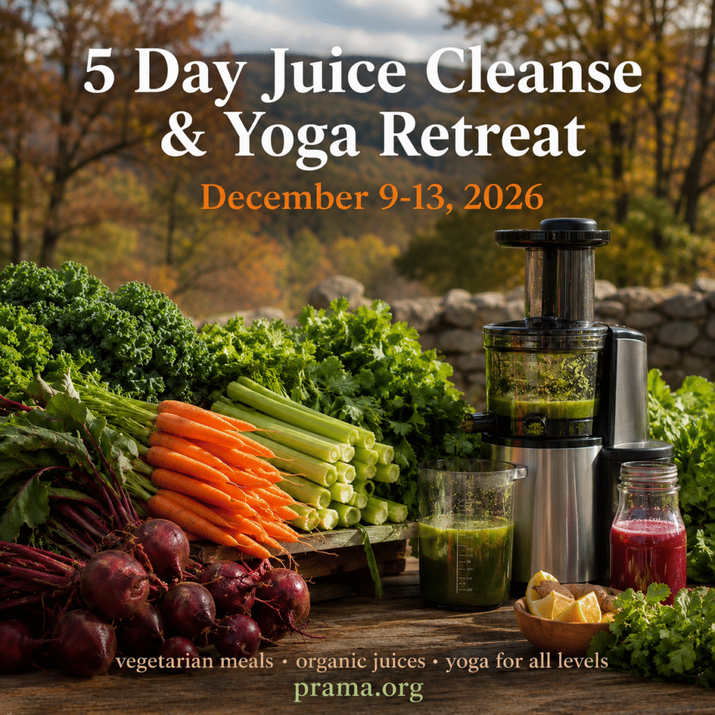 The programs featured image