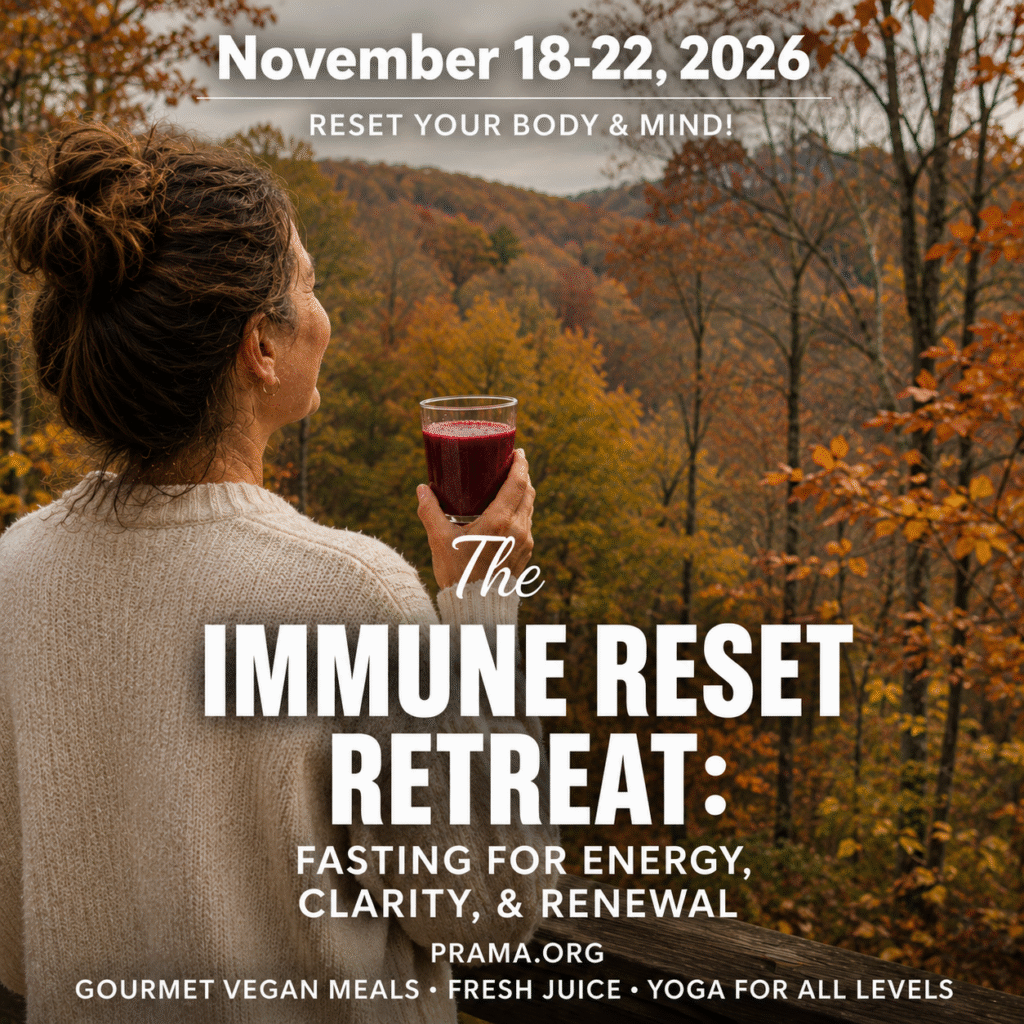 The programs featured image