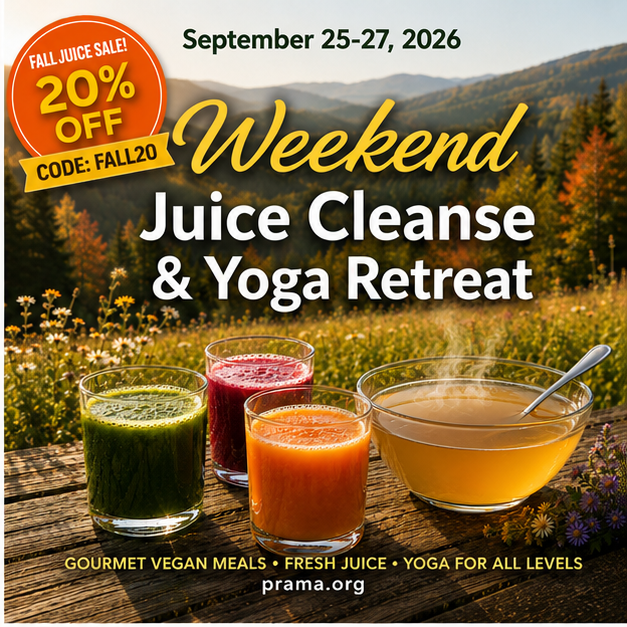 The programs featured image