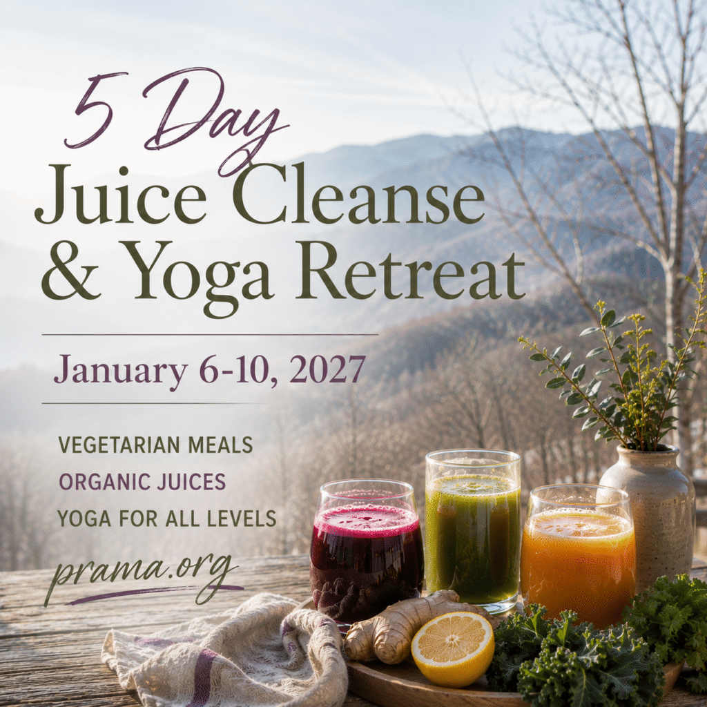 The programs featured image