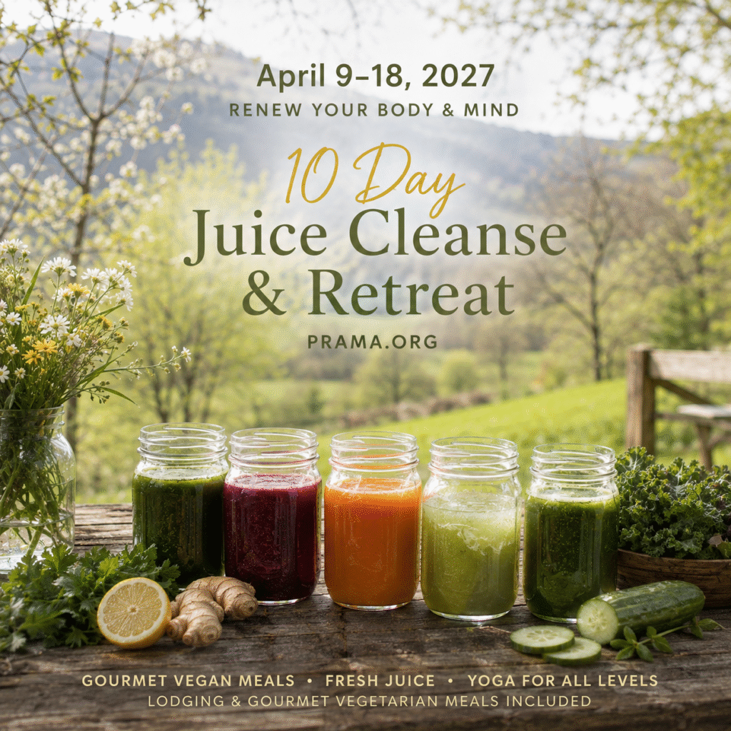 The programs featured image
